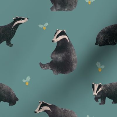Badgers and acorns