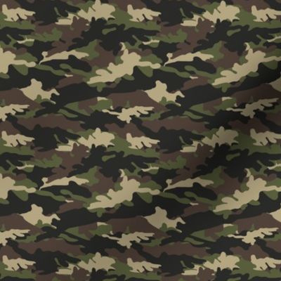 (small scale) C2 - camouflage C19BS