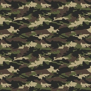 (small scale) C2 - camouflage C19BS