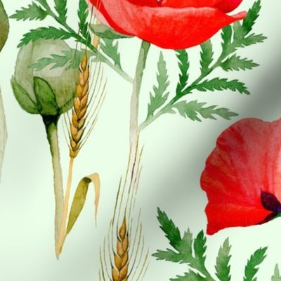 wild about poppies
