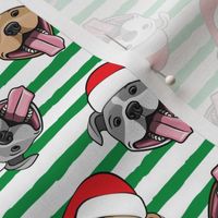 Christmas Pit bulls - Santa hats - pitties - green stripes toss - Christmas dogs - LAD19