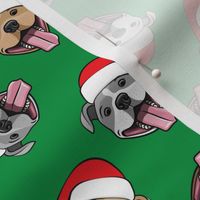Christmas Pit bulls - Santa hats - pitties - green toss - Christmas dogs - LAD19