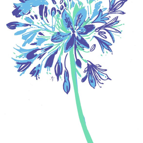 cestlaviv_allium blue purple