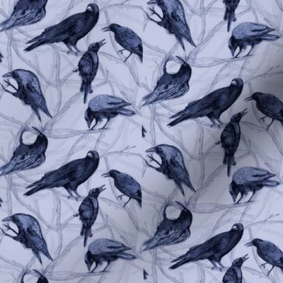 Blue Black Crows Small 