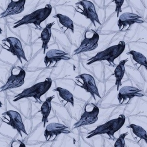 Blue Black Crows Small 