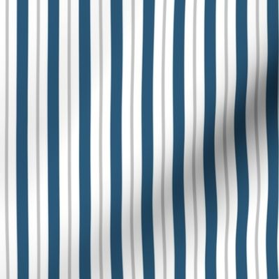 Blue and White Vertical Stripes