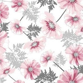 Cosmos Flower, Pink, Gray