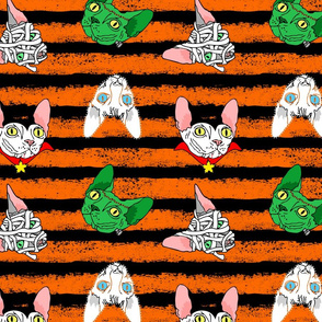 sphynx halloween stripe