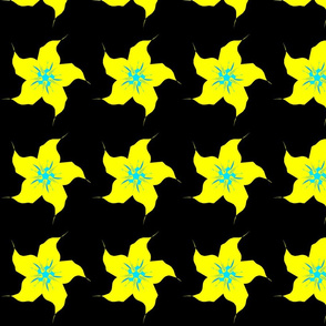 Yellow Night Star Funky Flower on Black Background