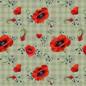 Poppies on green plaid 