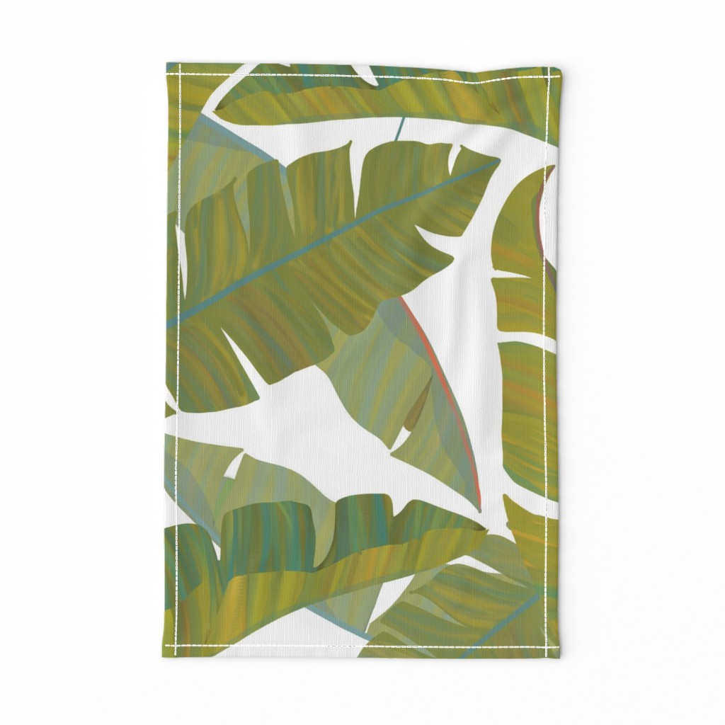 Large Scale Banana Leaves white background