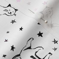 cat with stars