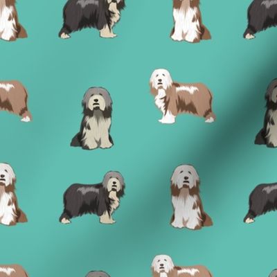 bearded collies dog fabric - bearded collie, collie dog, dog, dogs fabric, dog design - turquoise