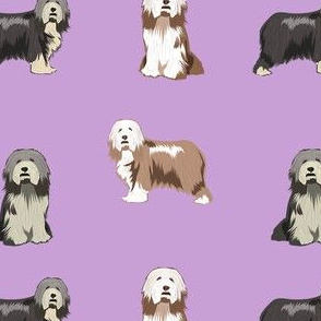 bearded collies dog fabric - bearded collie, collie dog, dog, dogs fabric, dog design - purple