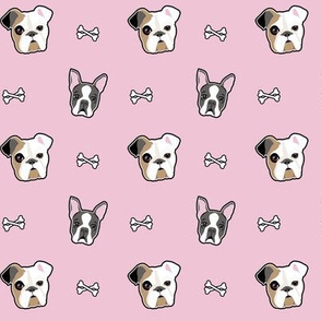 Boston Terriers & Bull dogs - pink