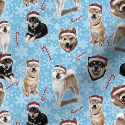 The Christmas Japanese Shiba Inu Dog