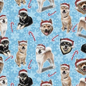 The Christmas Japanese Shiba Inu Dog