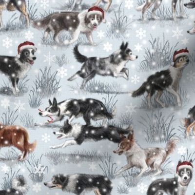 The Christmas Border Collie Dog