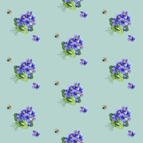 violets variation