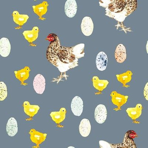 Easter Egg Chickens // Slate Gray