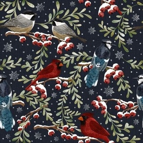 Winter Birds in Snow -dark