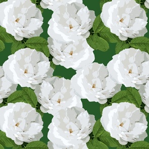 White Rose Dark Green