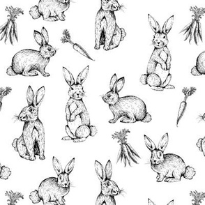 Sketch Bunnies // White - Easter, Spring, Carrots