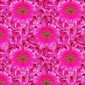 Pretty in Pink Flowers Full