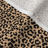 Ditsy Leopard