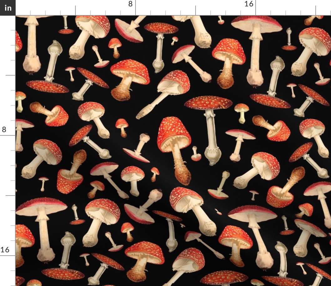 Fly Agaric Pattern On Black Background