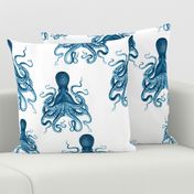 octopus verrucosus teal