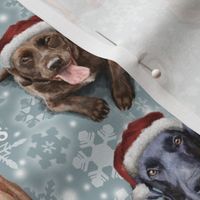The Christmas Labrador Retriever