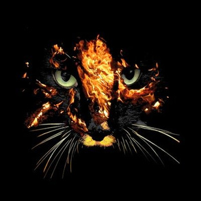 Fire cat on black swatch