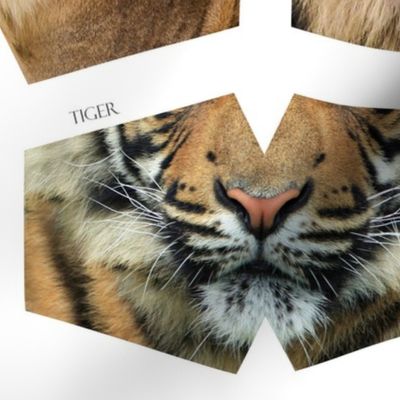 Wild Cats faces - 6 cut out masks Lions, tigers, leopard, cougar