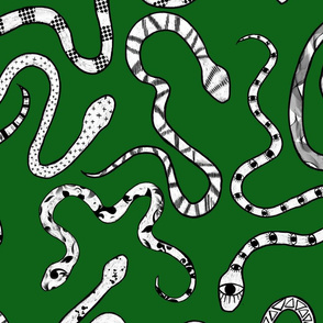 Green and white fancy snakes