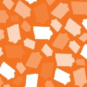 Iowa State Shape Orange and White
