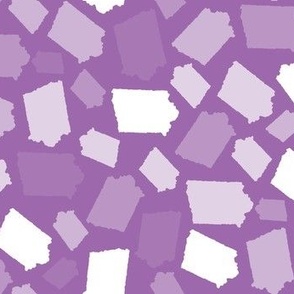 Iowa State Shape Purple and White