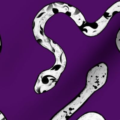 purple snakes 