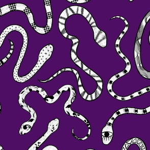 purple snakes 