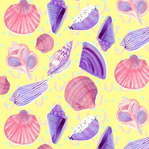 Shell Party | colourful seashells