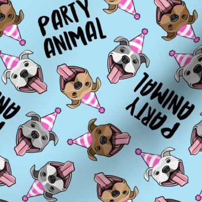 party animals - pit bulls - smiling pit bulls party hats - blue and pink - LAD19BS