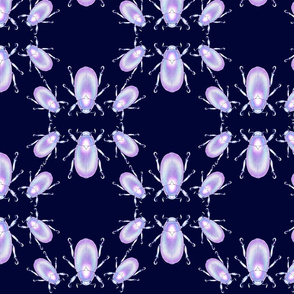 Pearly Holographic Beetles