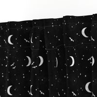 Night sky bats