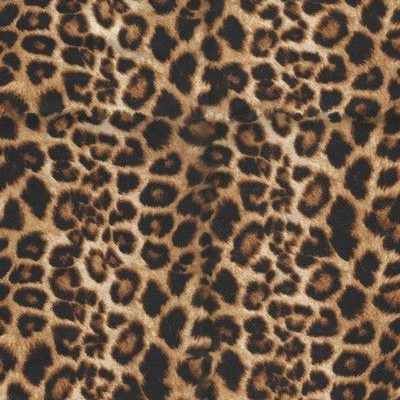 Velvet Leopard Fabric, Wallpaper and Home Decor | Spoonflower