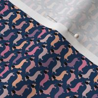 Vintage doxie sausage dogs dachshund illustration pattern navy blue pink XXS