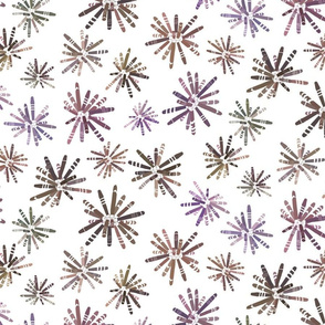 Urchin Flowers on White 300