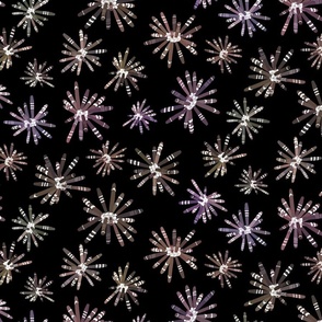 Urchin Flowers on Black 300