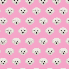 Maltese Dogs Condensed Pattern - Pink Background
