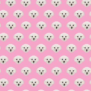 Maltese Dogs Small Condensed Pattern - Pink Background