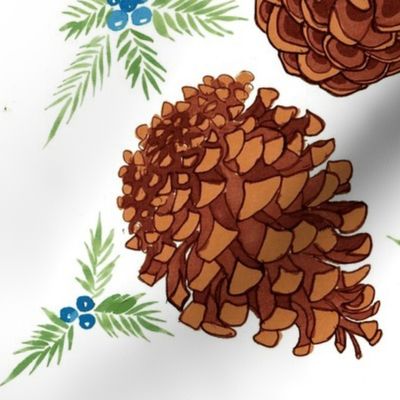 pine cones and juniper